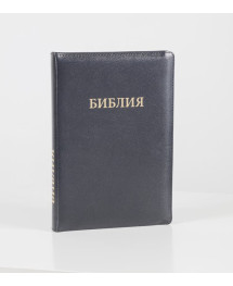 Библия 077 (Индексы, замок, кожа, золотой срез) синод. перевод. Уценка