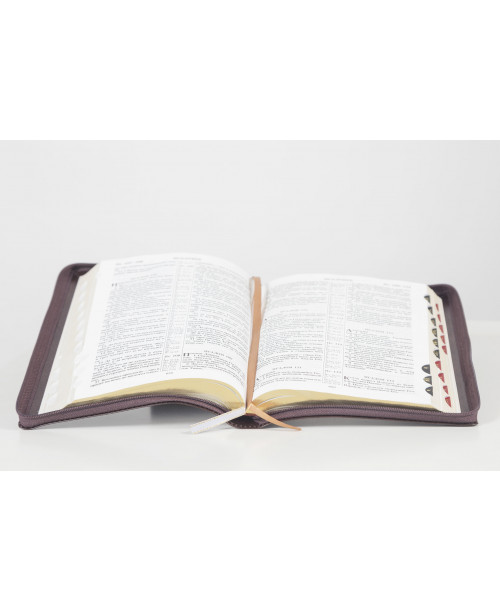 Библия 075 (Индексы, замок, 3 цв., золотой срез) синод. перевод