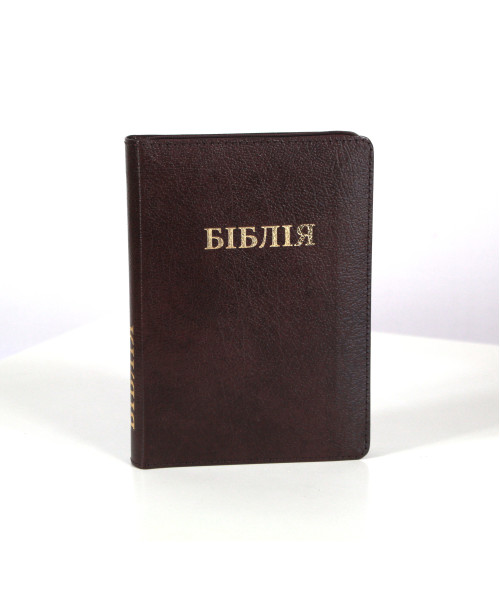 Біблія 043 (Індекси, замок, шкіра) І. Огієнко